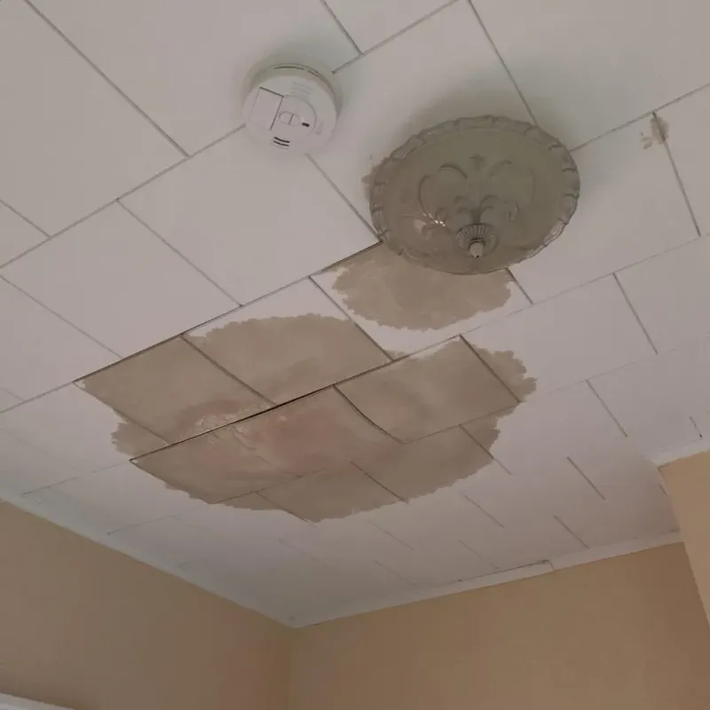 Ceiling Water Damage Repair in Boston Heights, OH