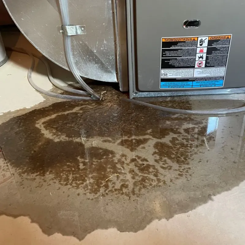 Pipe Burst and Leak Restoration in Boston Heights, OH