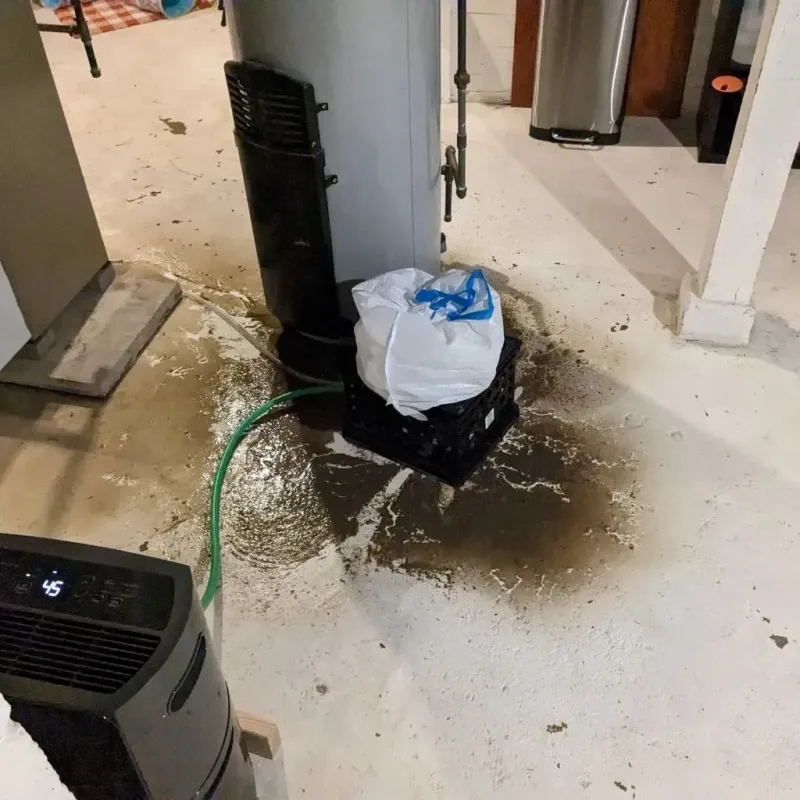 Sewage Backup Cleanup Service in Boston Heights, OH